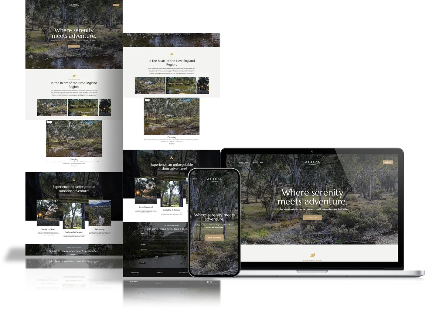 Client website project 7